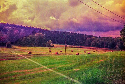 Chromagnon’s Neon Shift with an Expired Film