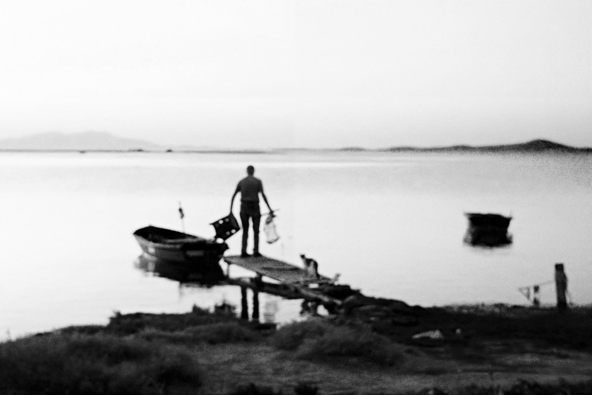 Camera: Voigtlander Vito CLR · Lomography