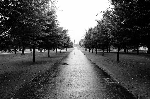 Lady Grey Developing Times: Kodak D-76