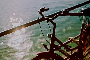 カメラ: Yashica FX-D · Lomography