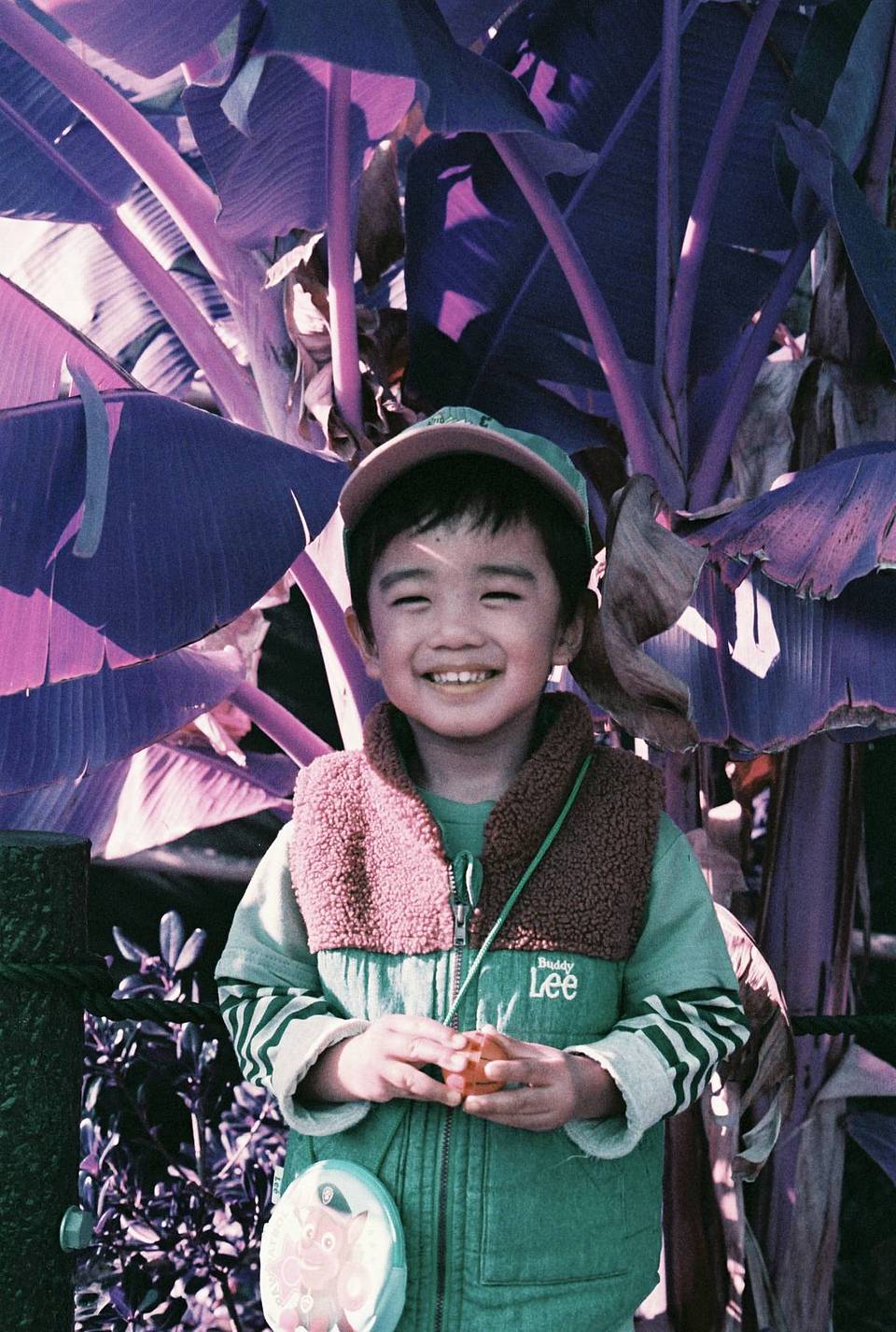 由 LomoChrome Purple 紫调负片胶卷拍摄