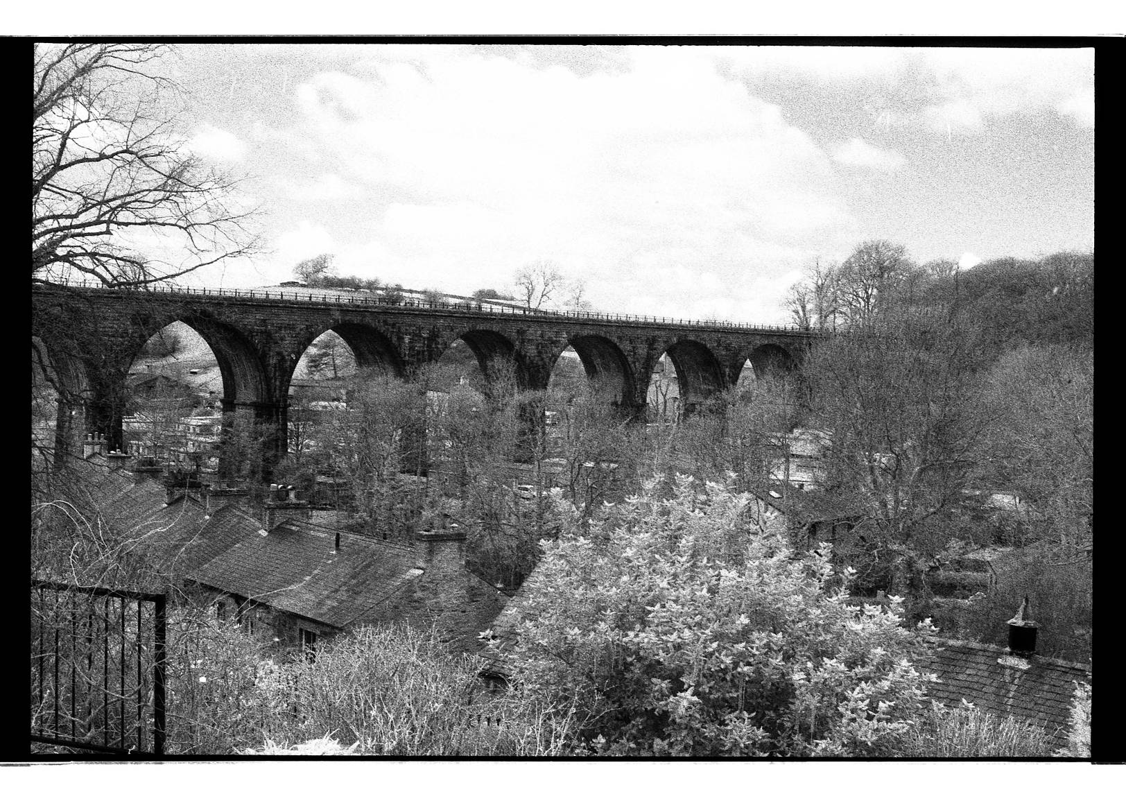 Ilford SFX 200 - Pellicola 120 bianco e nero, 1 bobina Ilford SFX 200 - Pellicola 120 bianco e nero, 1 bobina