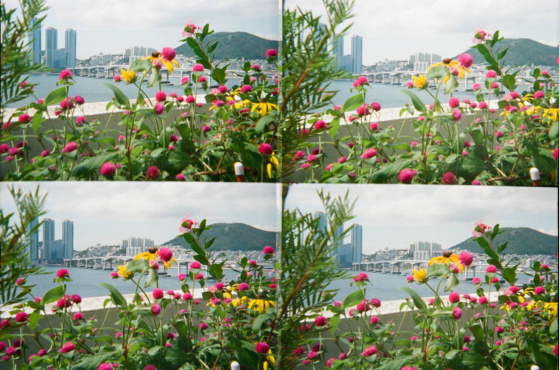 © Megumi Mogu
