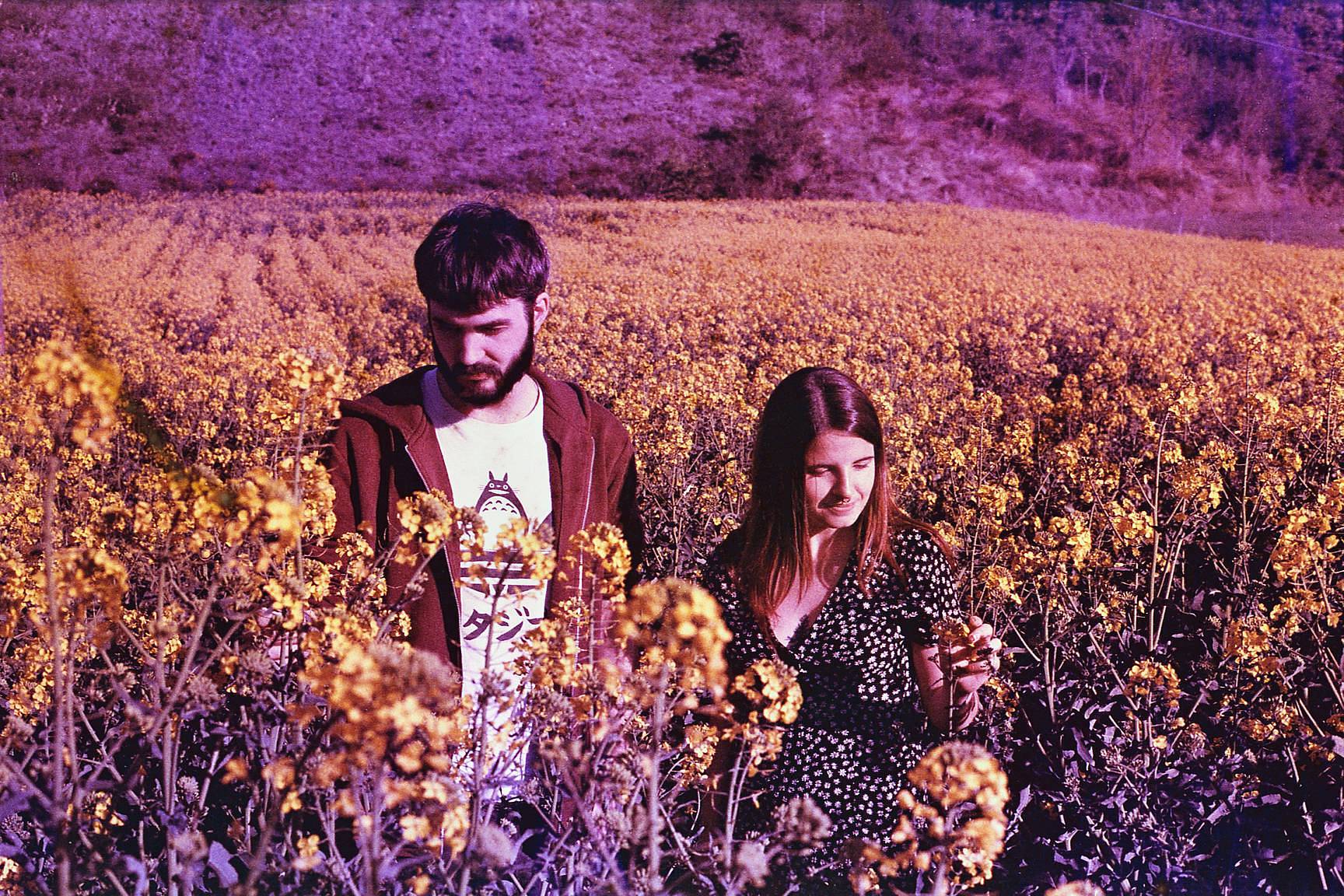 Credits: iosunedegoni, lomodesbro, arturoanalogico &amp; tjeiphia
