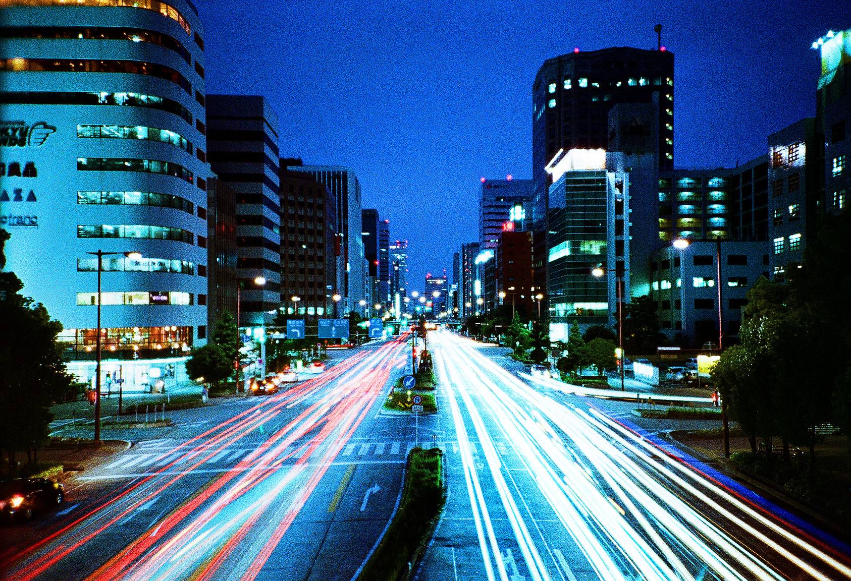 初心者におすすめなコンパクトフィルムカメラ10選 【作例紹介 初心者におすすめなコンパクトフィルムカメラ10選 【作例紹介