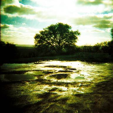 hg9lca