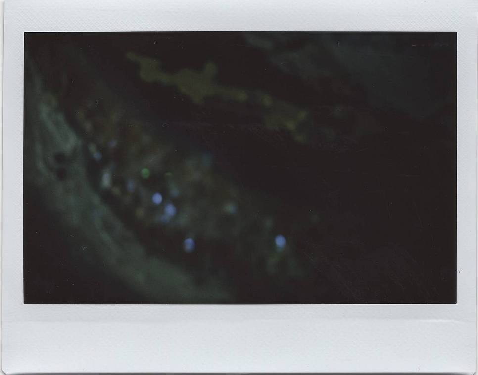Photos by Vanessa Gonzalez