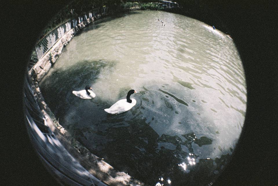 Fisheye No.2 135 第二代鱼眼胶片相机 + LomoChrome Color '92 ISO 400 135 彩色负片