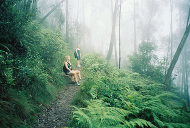 カメラ: Fuji Work Record · Lomography