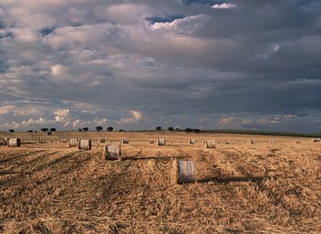 Lens: Mamiya Sekor 80mm f/2.8 · Lomography