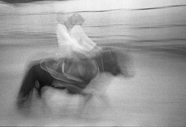 Camera: Pentax Espio 125M · Lomography