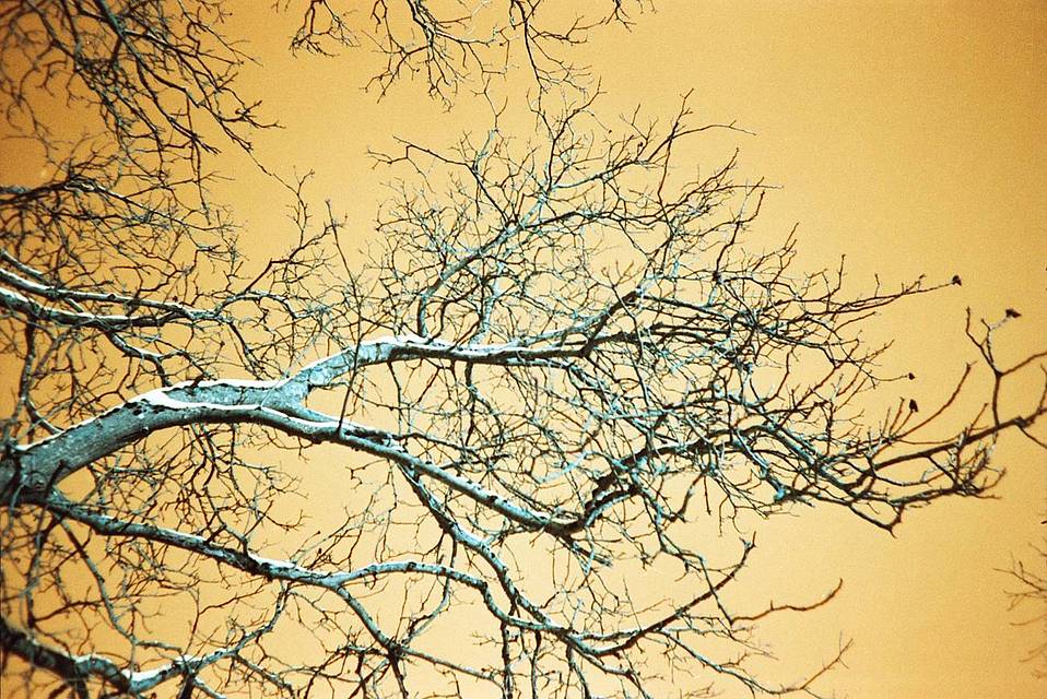 Credits: hodachrome, stephoebe, fruchtzwerg_hh, mapix, Pearlgirl77