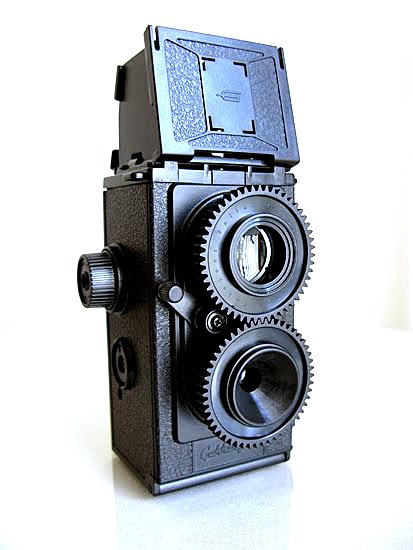 Gakkenflex TLR