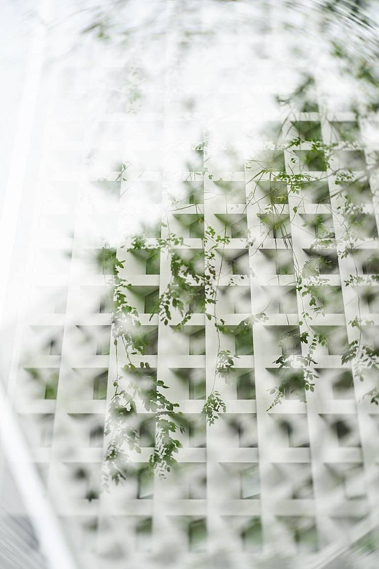 ©️ Kevin ｜ New Petzval 55mm f/1.7 MKII 镜头