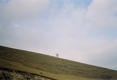 Camera: mamiya ef2 · Lomography