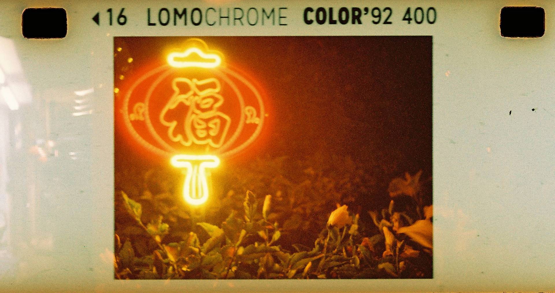 @d_chee | Lomomatic 110 自动玻璃镜头胶片相机 | LomoChrome Color '92 ISO 400 110 彩色负片