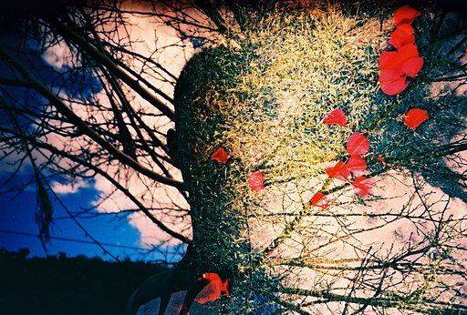 LomoGuru of the Week: Jprswim