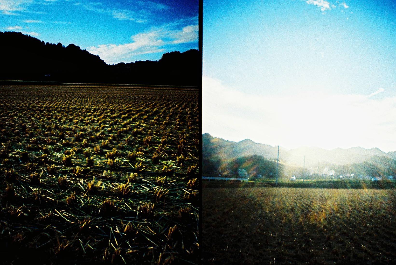 Diana Mini フィルム巻き上げ時のポイント · Lomography