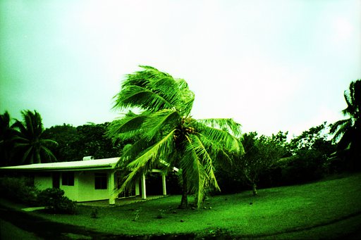 How I Survived the Hurricane called Oli