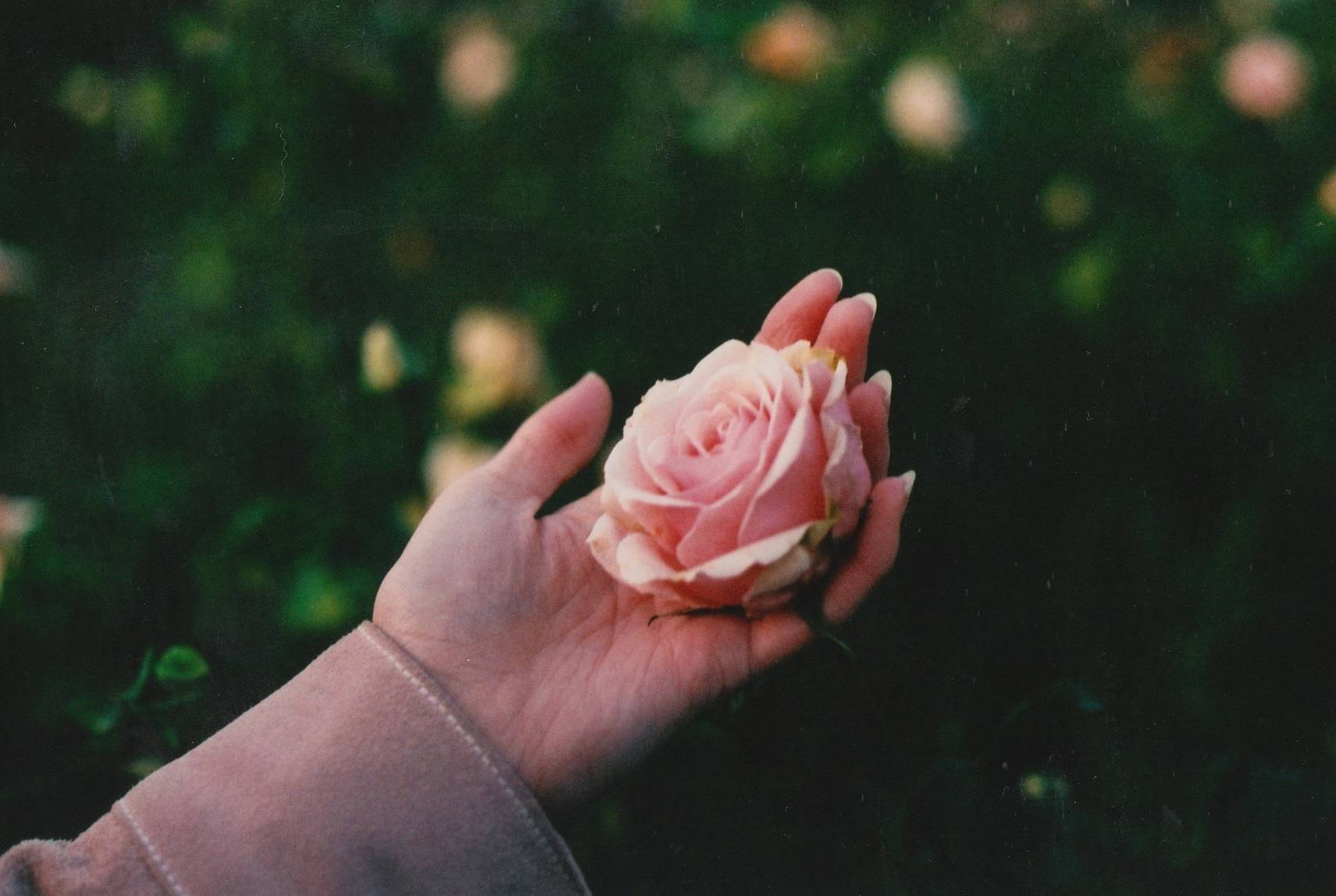 A Pastel Perspective by Chloe Sheppard · Lomography