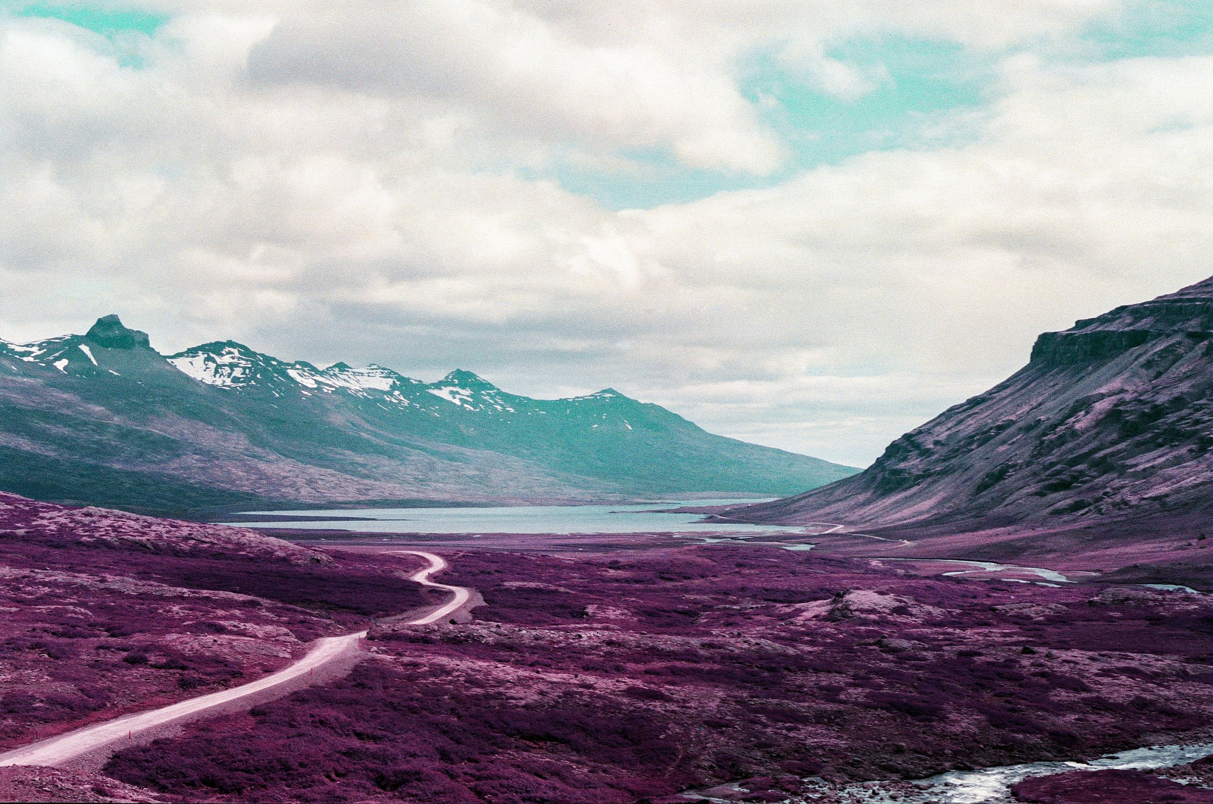 Eden Carter Takes the New Formula LomoChrome Purple Film · Lomography