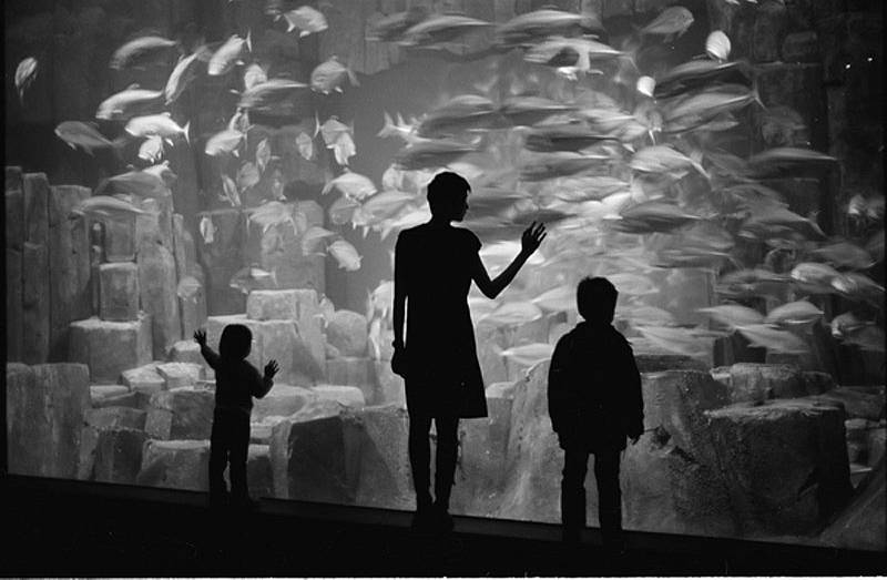 Future Memory