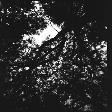 roxannephotography
