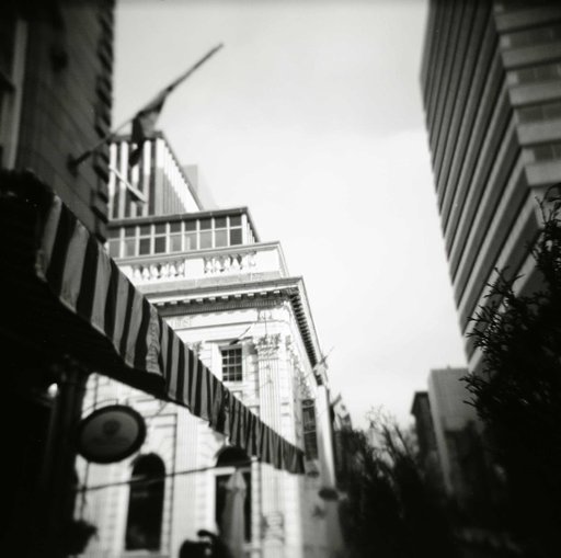 Rollei Pan 25 (120, 25 iso) User-Review