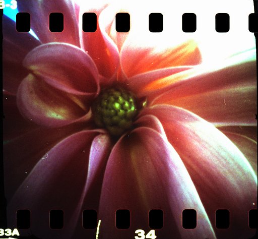 P-Sharan (Pinhole Camera)
