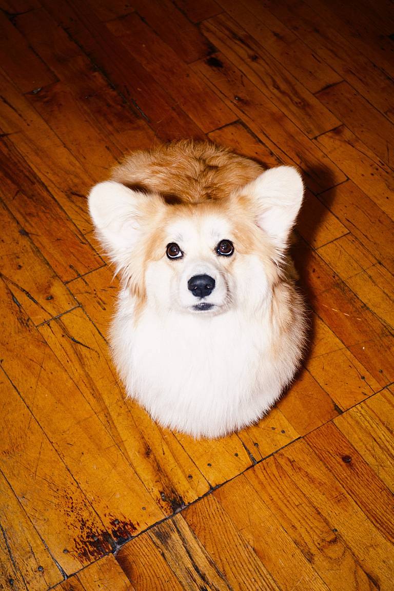 Photos by Chloe Fuller on the Lomo LC-A MINITAR-1 Art Lens
