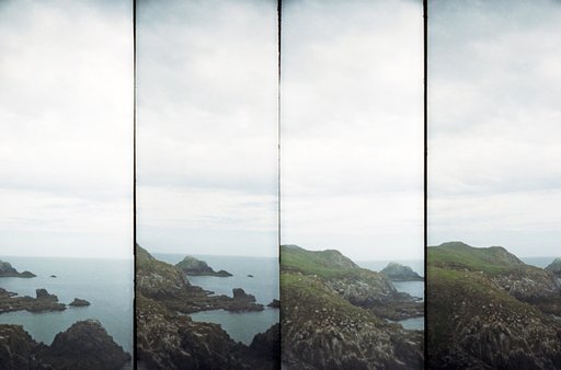 Fun Under the Sun: Birdwatching in Ireland with the SuperSampler