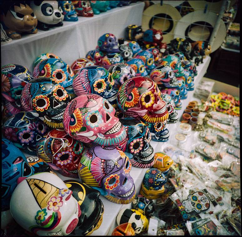 Photos by filmphotocat, rj14 and filmphotocat