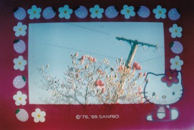 Camera: Hello Kitty Sanrio Puripachi Hello Kitty Bandai · Lomography
