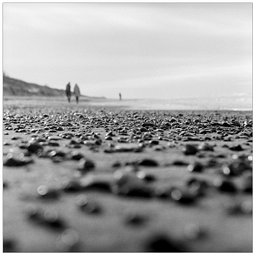 レンズ: Novar Anastigmat 1:3,5 f=75mm · Lomography