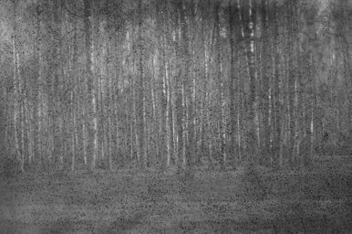 Papier Photo Kodalith Ortho Type 3 - Format 8x10, 50 Feuilles (expirées, Pour Collection Ou Usage Artistique)
