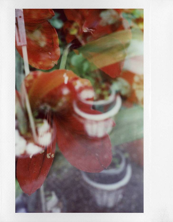 相机: Lomo'Instant Wide Glass 宽幅玻璃镜头拍立得相机 | 摄影师: Fumihiko Suzuki