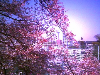 Camera: DIGITAL HARINEZUMI 1 · Lomography