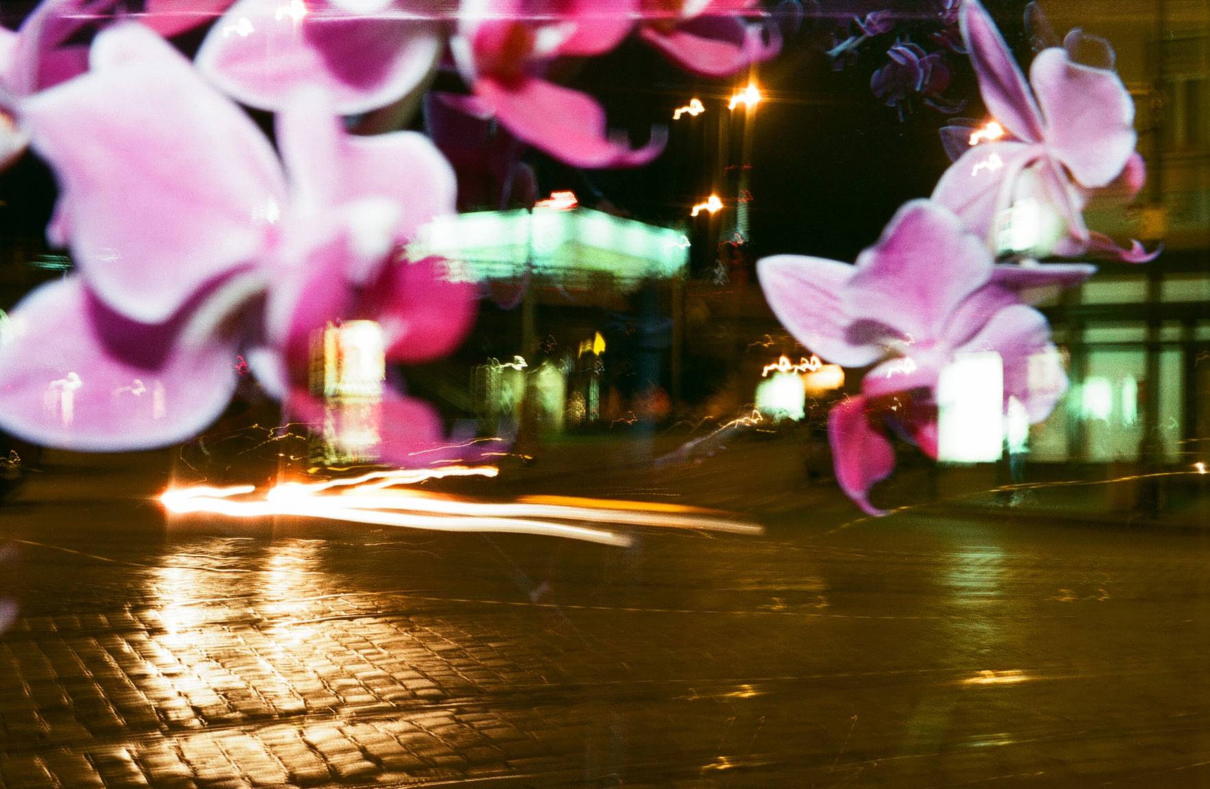 花で重ね撮りするときのコツ · Lomography