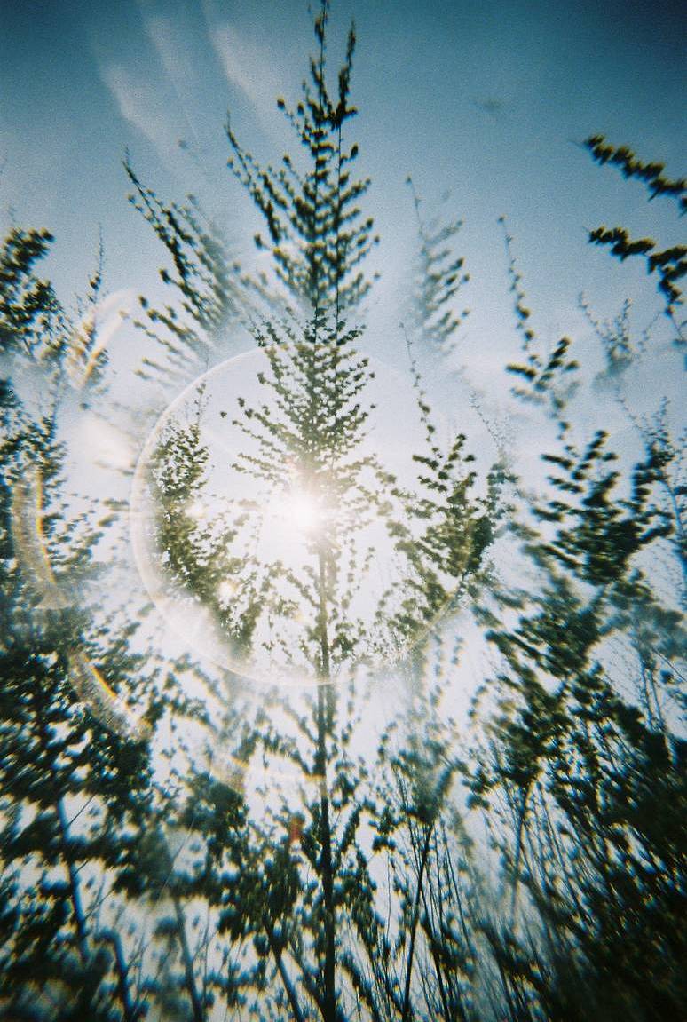 将你的 LomoApparat 套上万花筒滤镜，拍摄意想不到的照片！