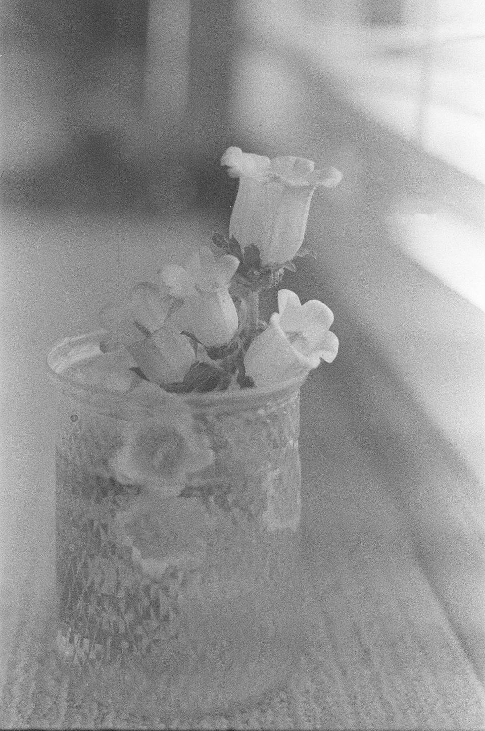 © 炉膛 |  Lomography B&amp;W ISO 400 Berlin Kino 135 柏林电影黑白胶卷