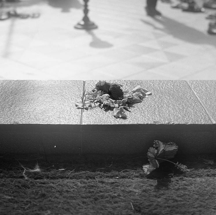 Yashica Mat 124G: A Twin-Lens Classic · Lomography