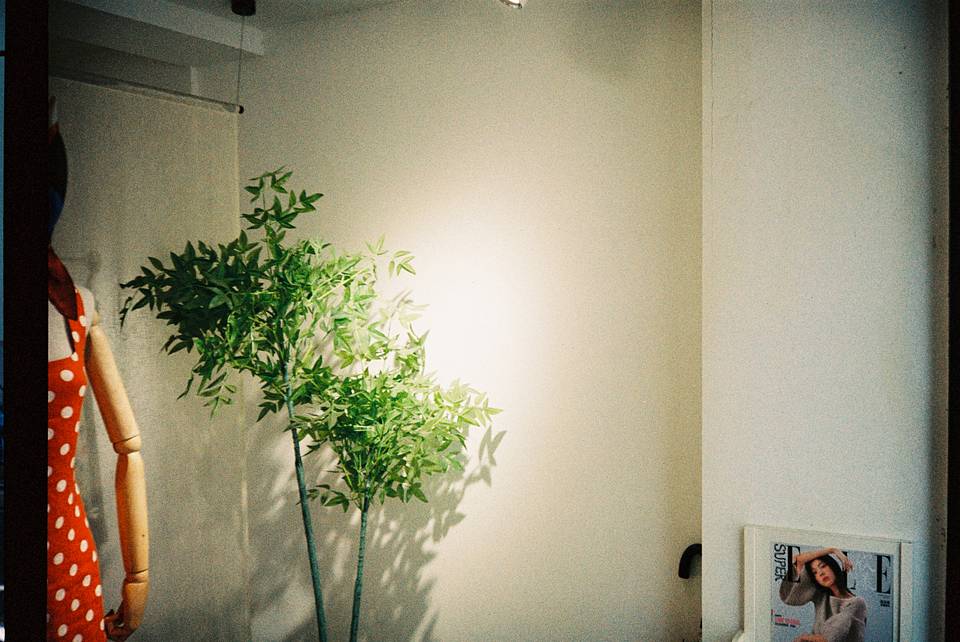 ©贾静娴，尹航，沃季虹｜使用 Lomo MC‑A 全自动随拍胶片相机 &amp;  LomoChrome Classicolor ISO 200 135 经典版彩色负片 拍摄