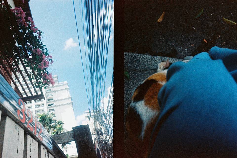 照片由炉膛使用 Half-Frame Simple Use 拍拍乐半格畅拍胶片相机 （LomoChrome Classicolor 经典版）拍摄
