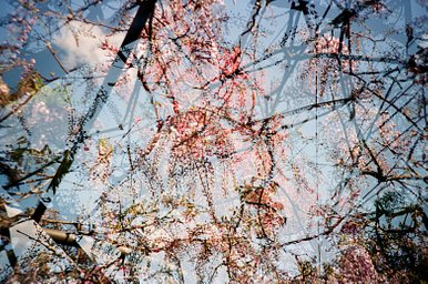 Camera: Lomo LC-A+ · Lomography