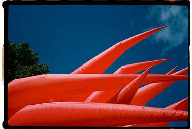 Camera: zeiss ikon S310 · Lomography