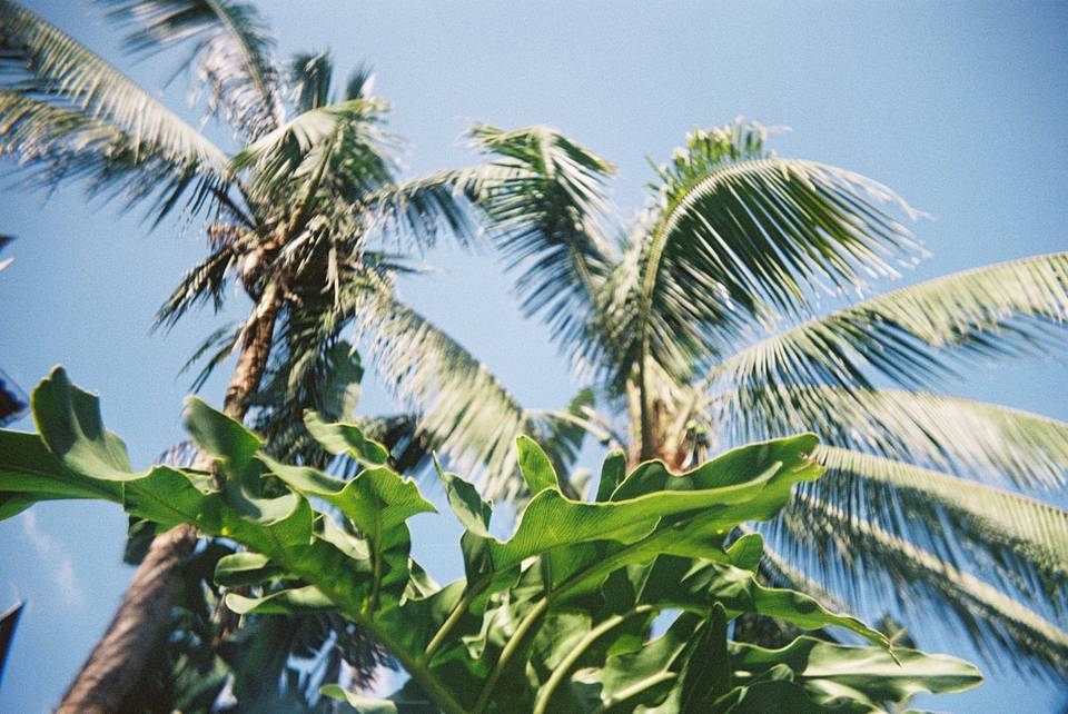 © 海南岛国际电影节