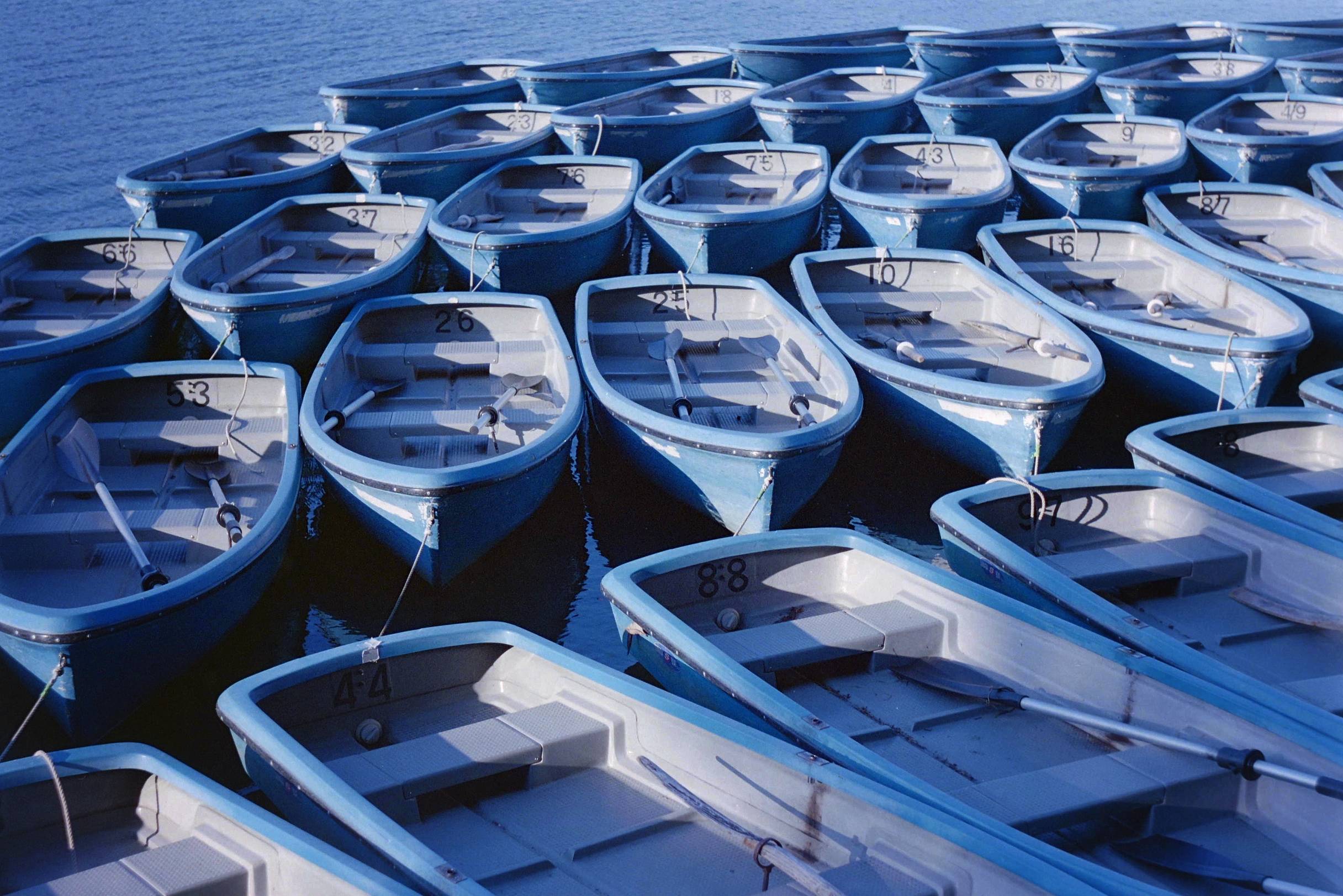 Photo by gachiling · Lomography