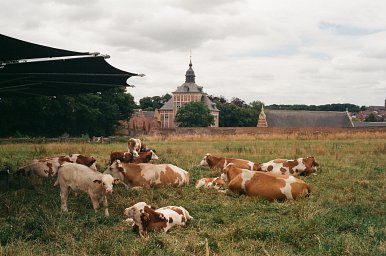 カメラ: Minolta Hi-Matic E · Lomography