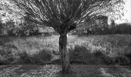 Camera: Nikon TW2D · Lomography