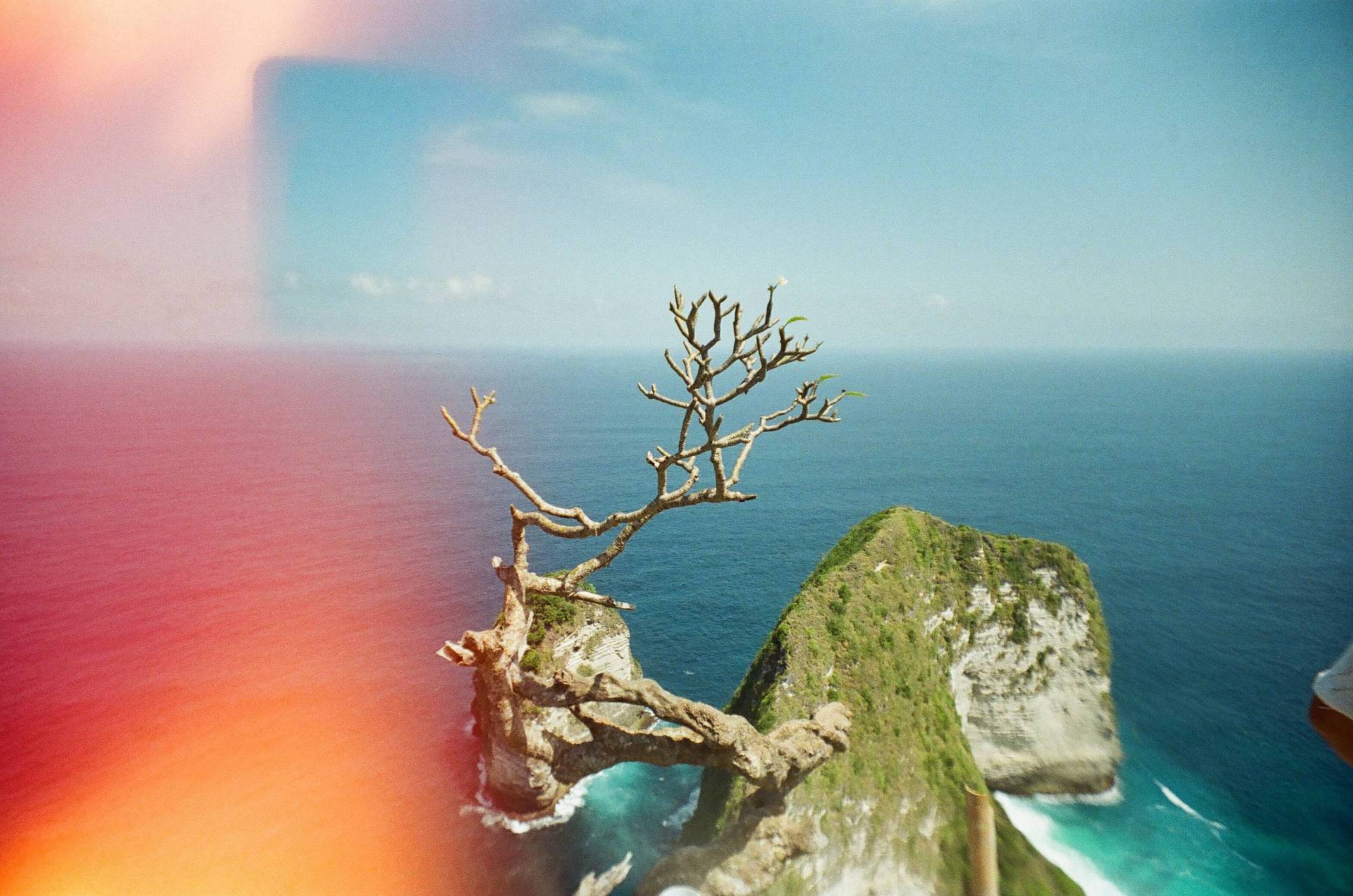 Photo by reretotoson